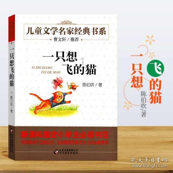 机智问答网页-赫本,杨幂都爱的心机绑带,你真的会选会搭吗?最全面的解答平台
